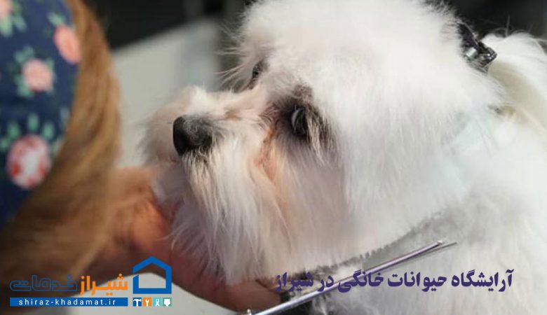 آرایشگاه حیوانات خانگی در شیراز